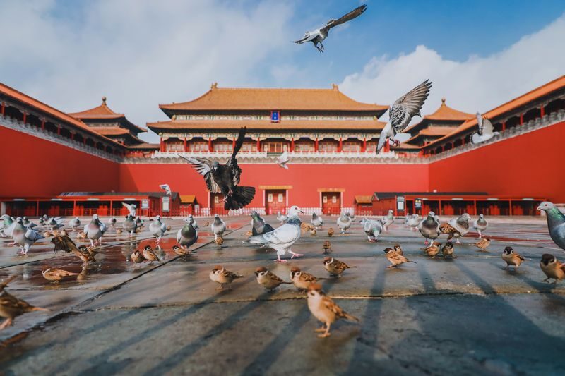The Forbidden City Ticket - A south-to-north route through imperial Beijing