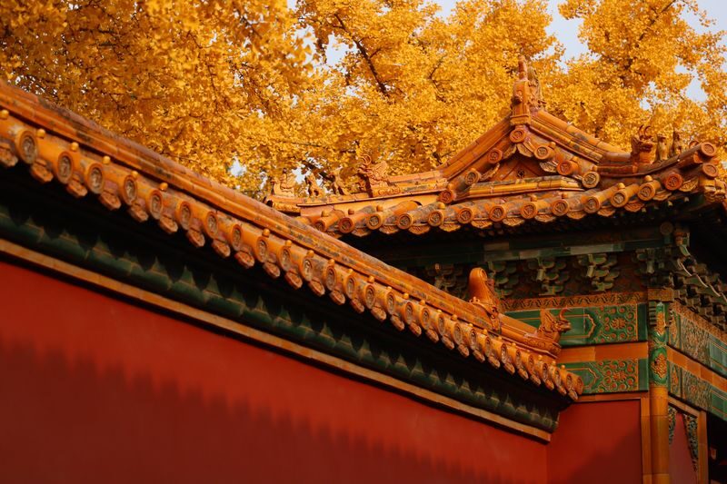 The Forbidden City Ticket - Price and value
