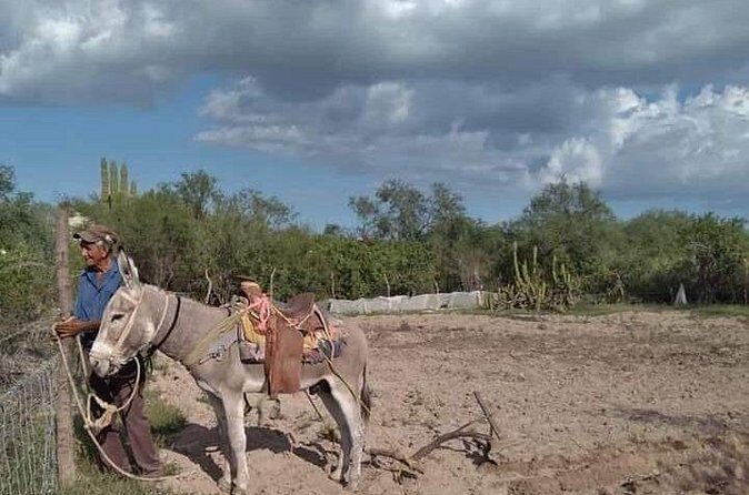 The forgotten minning towns of Baja Sur - Final Thoughts