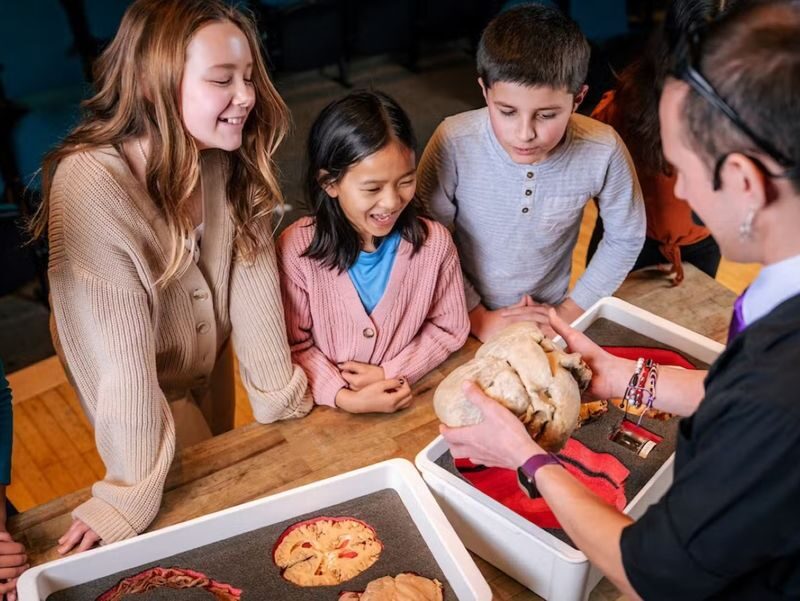 The Franklin Institute Science Museum Ticket - Should you book The Franklin Institute?
