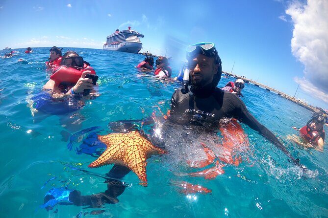 The Frederiksted St. Croix Sea Turtles Snorkeling Tour - What the Tour Offers