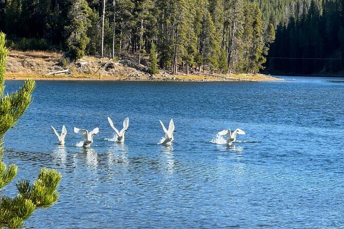 The Full Two Day Private Yellowstone Day Trips West Yellowstone - Practical Details and Considerations