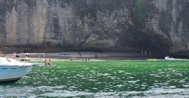 The Fun Boat Tour: Fishing, Tubing, Whale Watch, Snorkeling - Onboard Amenities and Equipment