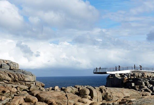 The Gap and Natural Wonders Tour in Albany - Southern Ocean views at Albany Wind Farm