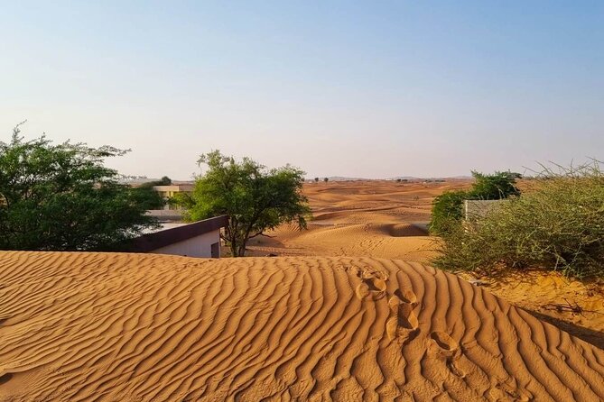 The Ghost Village Safari With Bedouin Camp and Barbeque Dinner - Immersive Bedouin Camp Experience