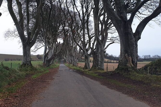 The Giants Causeway, Dunluce Castel and Belfast - Spanish Guide - Tips
