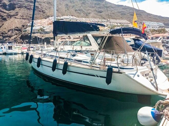 The Giants: Whales and Dolphin Watching Cruise With Lunch - Review Summary