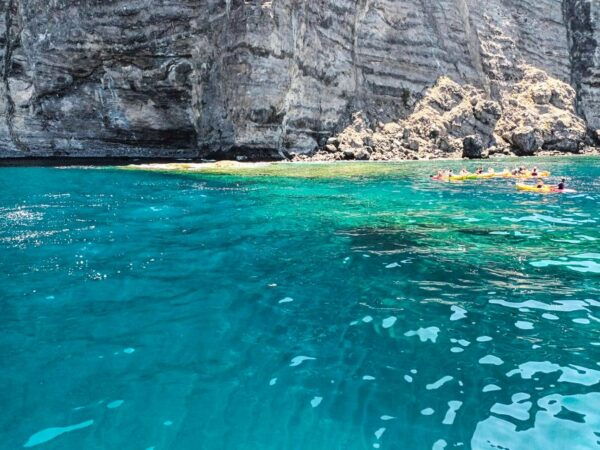 The Giants: Whales and Dolphin Watching Cruise With Lunch - The Sum Up
