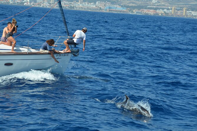 The Gigantes Cliffs Small-Group Sail Tour With Lunch - Tour Highlights