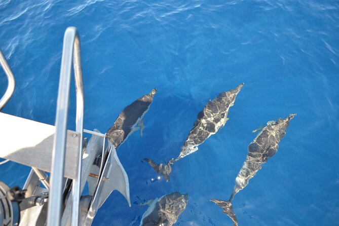 The Gigantes Cliffs Small-Group Sail Tour With Lunch - Duration