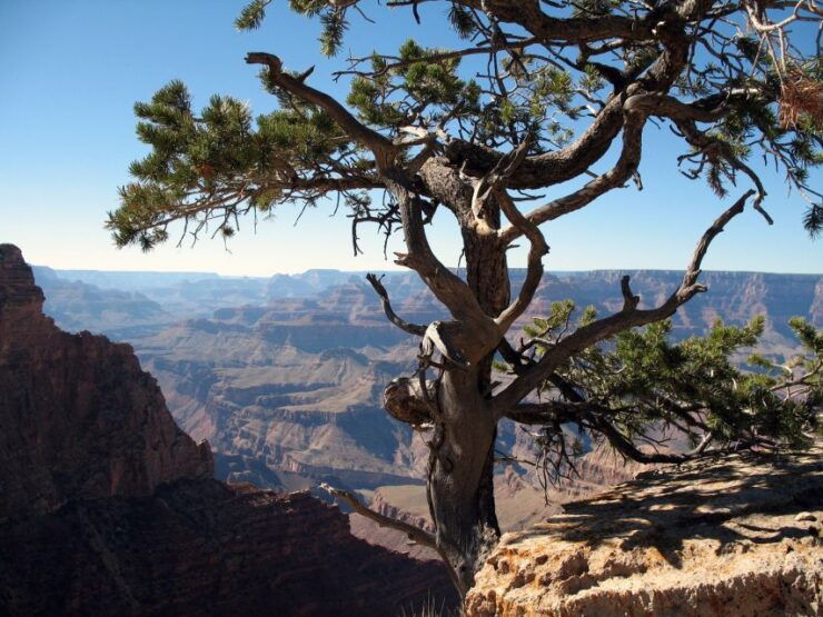The Grand Canyon Classic Tour From Sedona, AZ - Tour Highlights