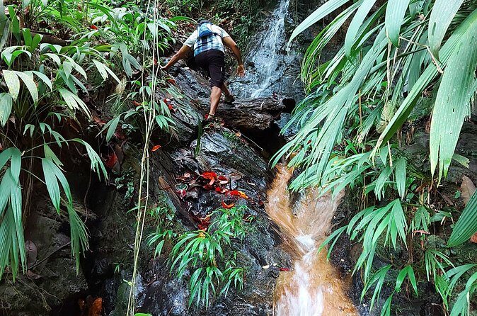 The Grand Circle 24-Hour All-Inclusive Island Experience - Breaking Down the Experience