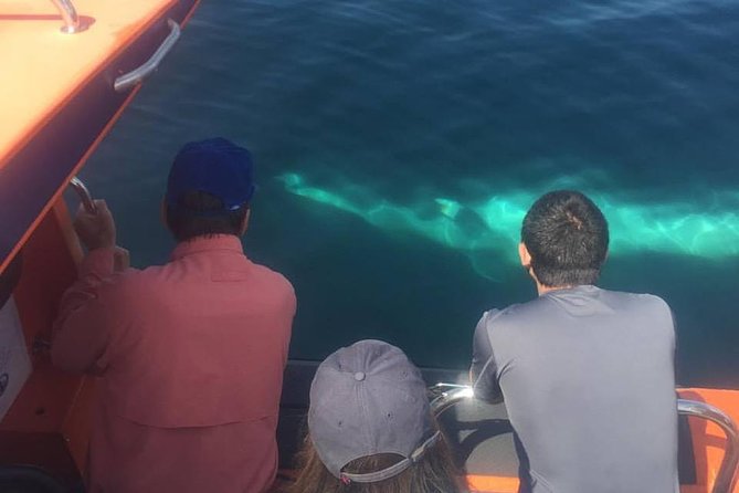 The Great Blasket Island Experience - Meeting and Pickup Details