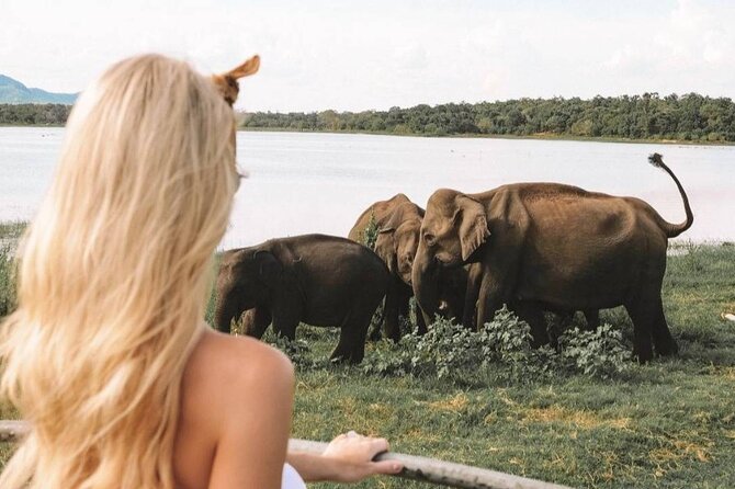 The Great Elephant Gathering Private Safari From Minneriya - Booking and Confirmation