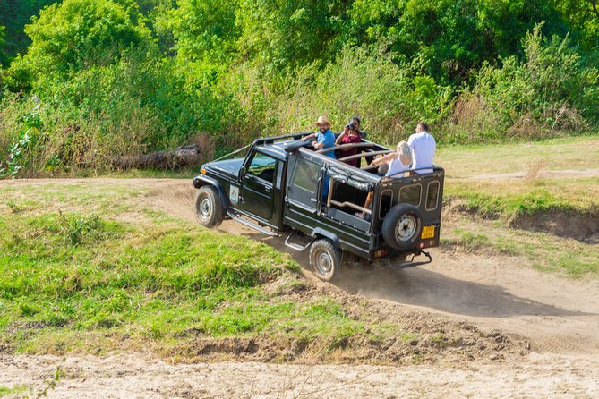 The Great Elephant Gathering Private Safari From Minneriya - Pricing and Cancellation Policy