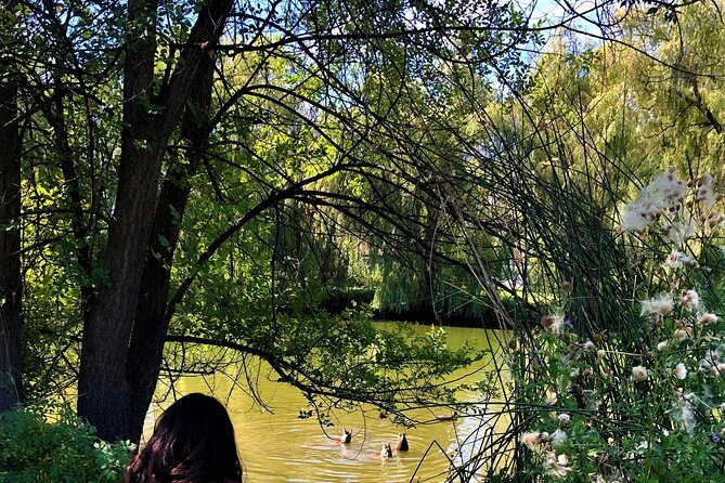 The Great Forest Immersion Tour in Canada - Pricing and Booking