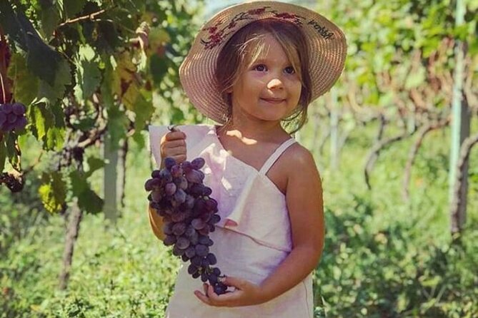 The Great GASTRO Tour of Montenegrian Wine and Montenegrian Food - What To Expect