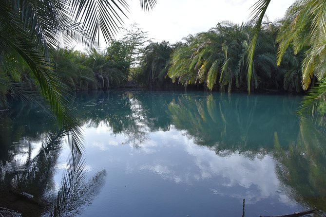 The Great Hotsprings - Good To Know