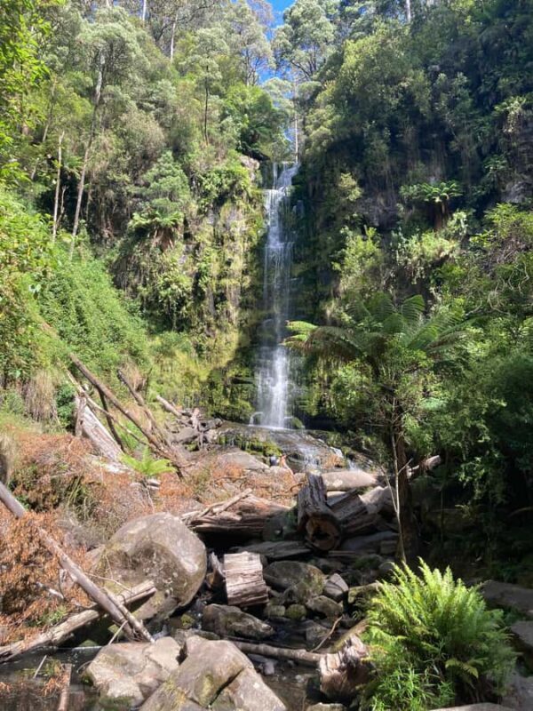 The Great Ocean Road Private Day Trip - What Makes This Tour Stand Out?