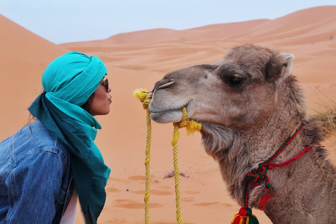 The Great Private Circuit of 15 Days in Morocco, Imperial Cities and the Desert - Booking Confirmation and Cancellation Policy