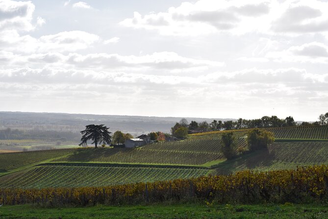 The Great Sauternes Wine Tour - The Sum Up