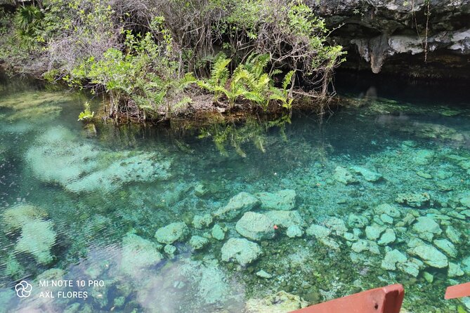 The Great Snorkeling Adventure at the Riviera Maya Private Tour - Clear Terms and Conditions