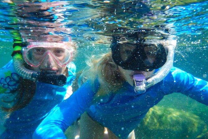 The Great Snorkeling Adventure at the Riviera Maya Private Tour - The Sum Up