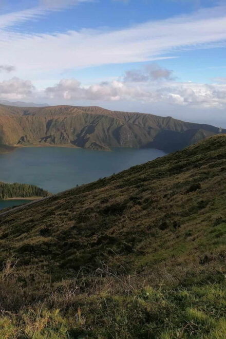 The Green Island Tour - Full Day Tour Around the Island - Participant Restrictions