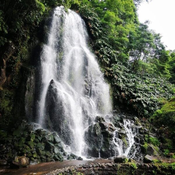 The Green Island Tour - Full Day Tour Around the Island - Frequently Asked Questions
