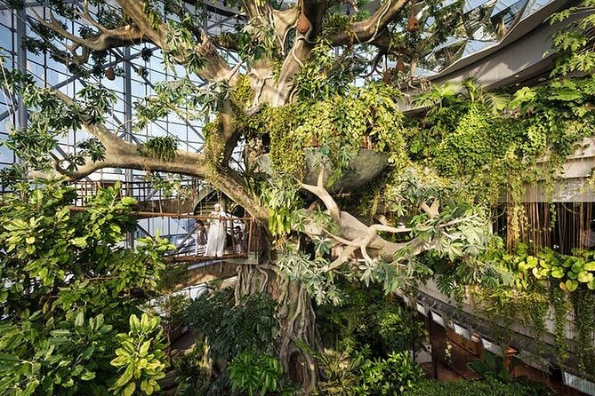 The Green Planet Dubai - Plant and Animal Diversity