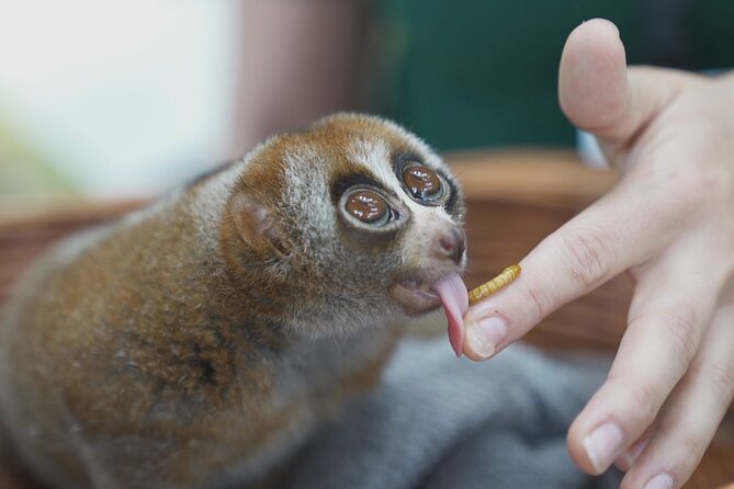 The Green Planet Dubai - Inclusions and Amenities