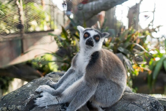 The Green Planet Dubai - Operating Hours and Charges