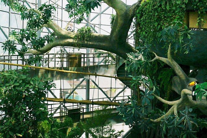 The Green Planet Dubai Tickets With Transfers Option - Contact Information and Questions