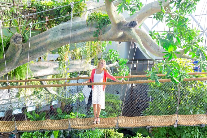 The Green Planet Dubai With Options - Pricing and Guarantee