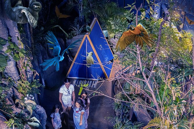 The Green Planet Dubai With Options - The Sum Up