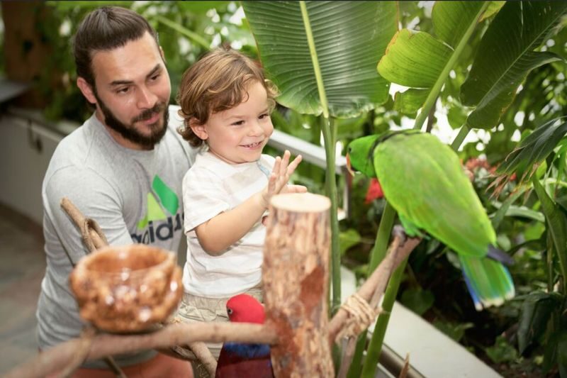The Green Planet Ticket in Dubai - The Green Planet at a glance