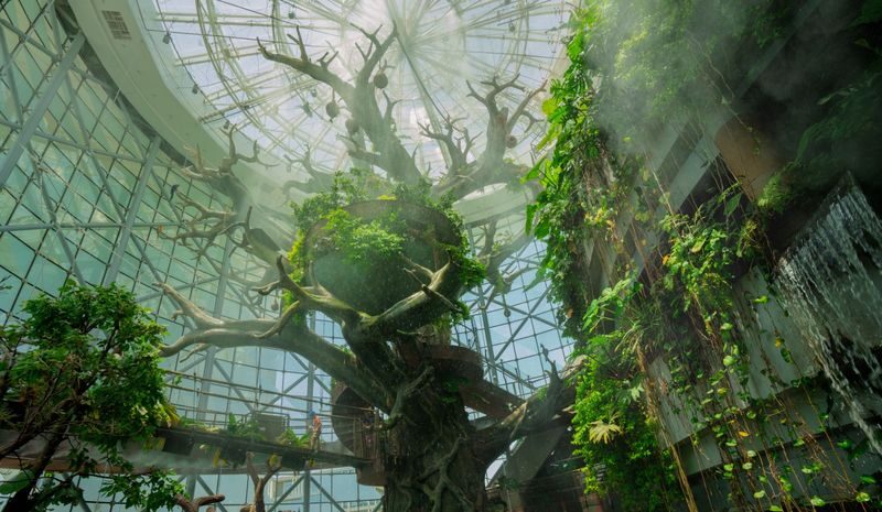The Green Planet Ticket in Dubai - How long to spend inside