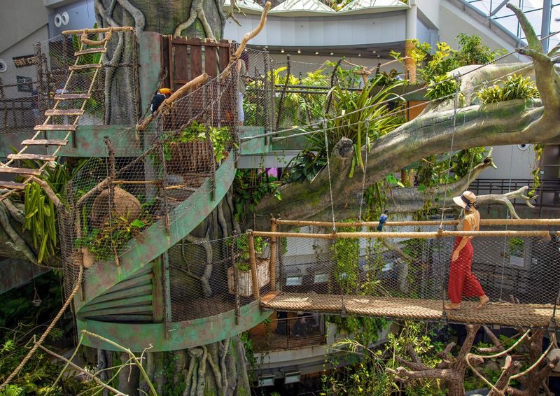 The Green Planet Ticket in Dubai - Getting there and planning your visit