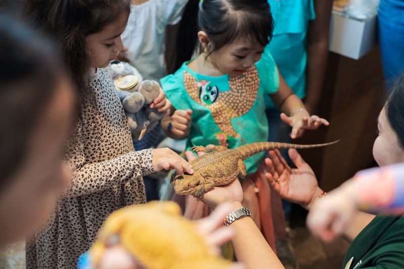 The Green Planet Ticket in Dubai - Who will enjoy The Green Planet most?