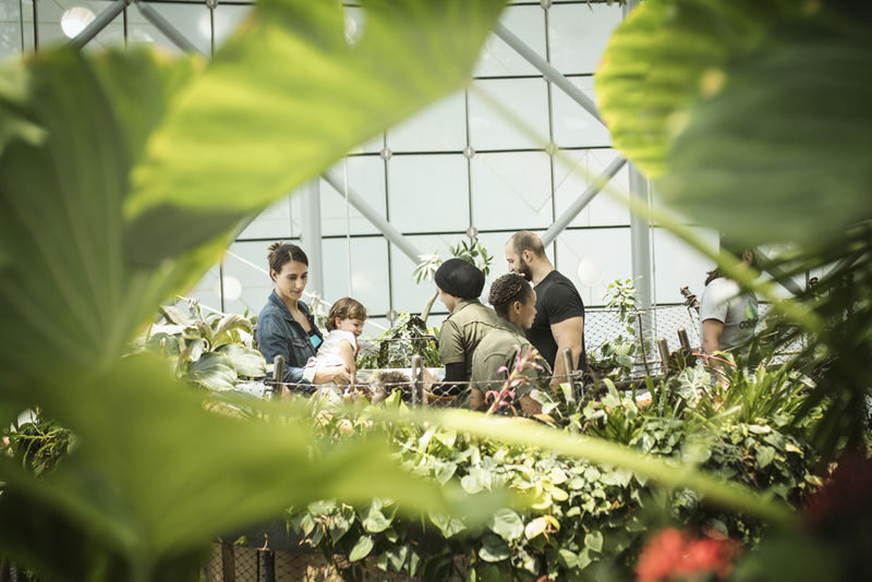 The Green Planet Ticket in Dubai - Should you book The Green Planet Dubai?