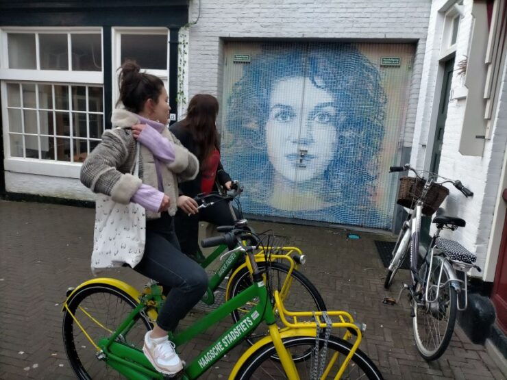The Hague: 2,5-Hour Guided Street Art Bike Tour - Activity Details and Highlights