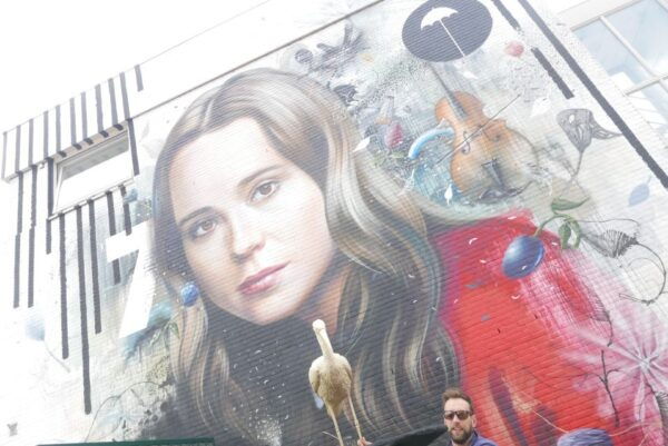 The Hague: 2,5-Hour Guided Street Art Bike Tour - Common Questions
