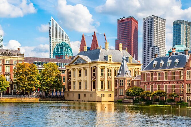 The Hague and Rotterdam Shore Excursion, Private Tour - Tour Overview