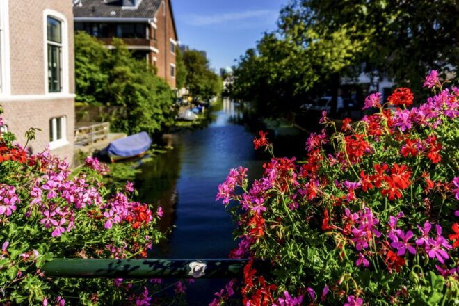 The Hague: City Discovery Game - Inclusions