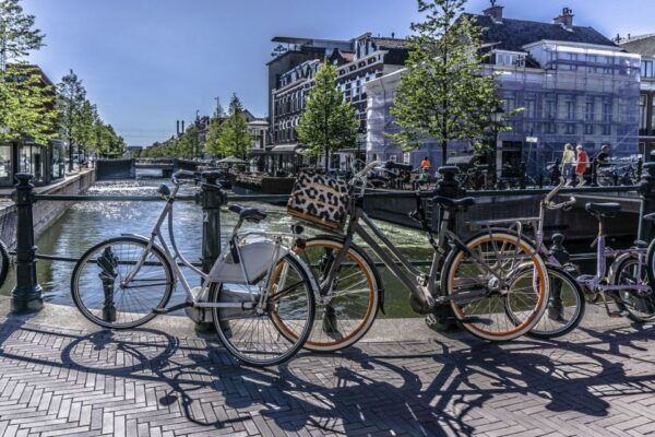 The Hague: City Discovery Game - Common Questions