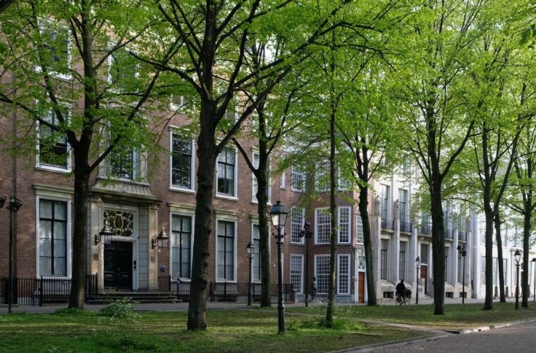 The Hague: City Walking Tour - Final Thoughts