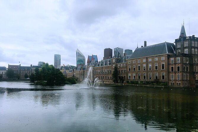 The Hague, Delft and Rotterdam Sightseeing Tour Max.8 Persons - Negative Reviews About the Tour