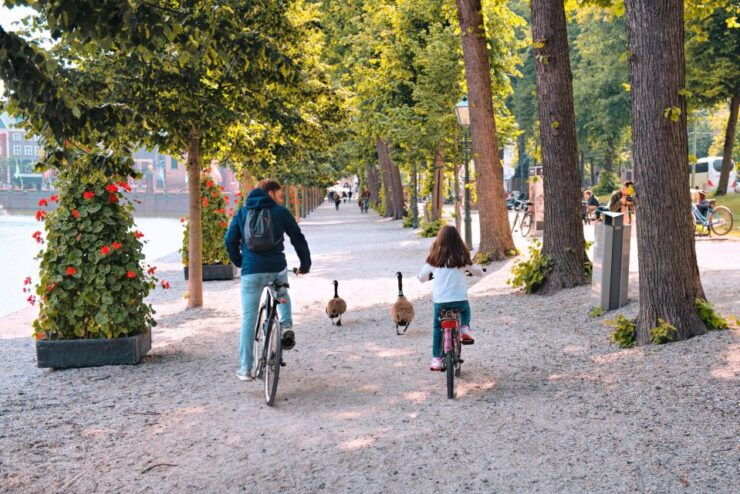 The Hague Highlights: Bike Tour - Free Cancellation and Flexible Payment