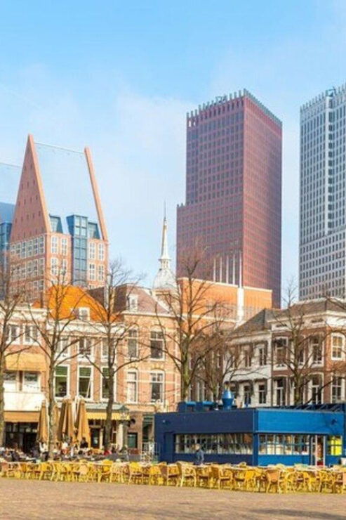 The Hague : Must-See Attractions Private Walking Tour - Cultural Insights and Experience