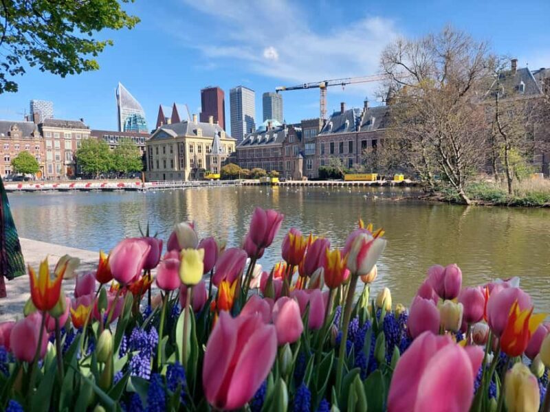 The Hague Private City Tour with an Architect - Good To Know